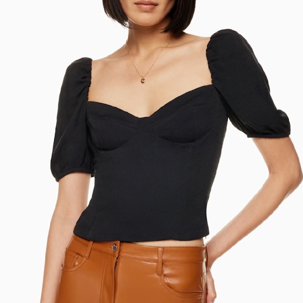 Aritzia Novella Shortsleeve Blouse